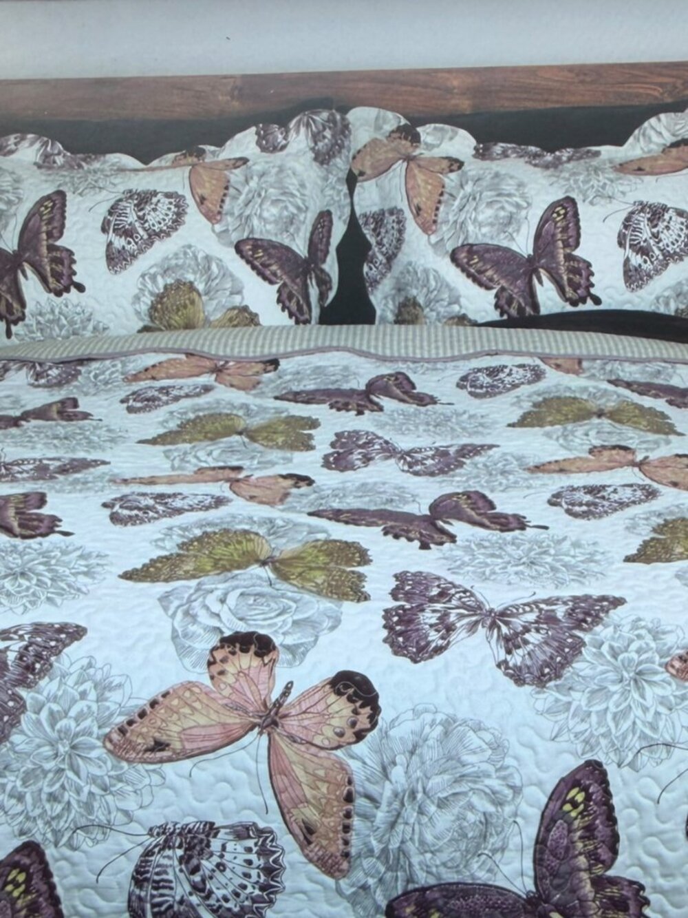 LIVING QUARTERS NWOT Sonara Butterfly Floral Print Coverlet Set - King Size